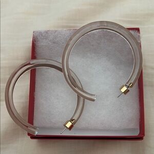 Alison Lou Lucite Jelly Hoops worn once